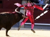 ultima corrida,l'ultima corrida a barcellona,barcellona,toreri e tori,la corrida: spettacolo crudele o tradizione culturale?